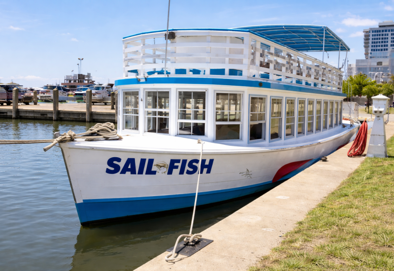 SAIL FISH boat at marina dock